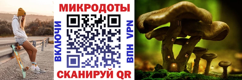 Псилоцибиновые грибы GOLDEN TEACHER  Купить закладки  Дербент 