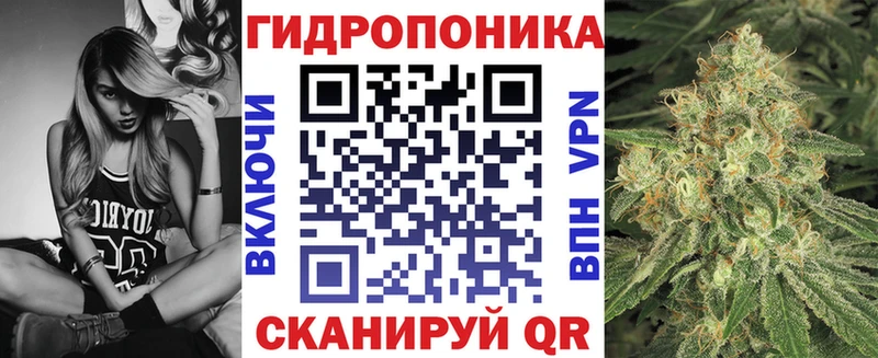Каннабис SATIVA & INDICA  Купить закладки  Дербент 
